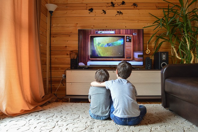 Alles wat je moet weten over de kosten van een Cinewall